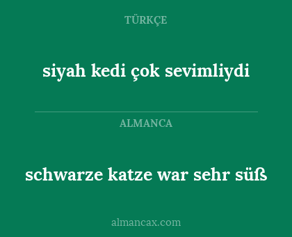 schwarze katze war sehr süß - siyah kedi çok sevimliydi
