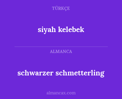 schwarzer schmetterling - siyah kelebek