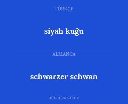 schwarzer schwan - siyah kuğu