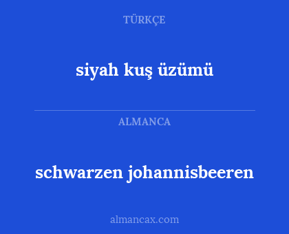 siyah kuş üzümü - schwarzen johannisbeeren