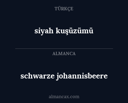 schwarze johannisbeere - siyah kuşüzümü