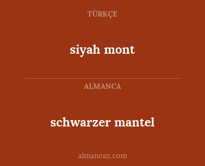 schwarzer mantel - siyah mont