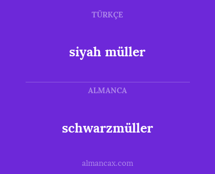 schwarzmüller - siyah müller