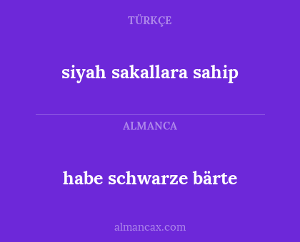 habe schwarze bärte - siyah sakallara sahip