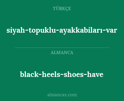 siyah-topuklu-ayakkabiları-var - black-heels-shoes-have