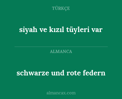 schwarze und rote federn - siyah ve kızıl tüyleri var