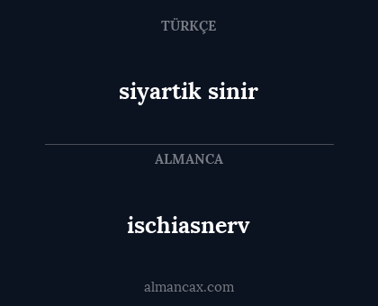 ischiasnerv - siyartik sinir