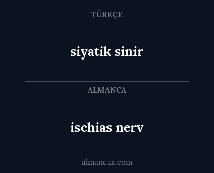ischias nerv - siyatik sinir