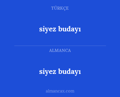 siyez budayı - siyez budayı