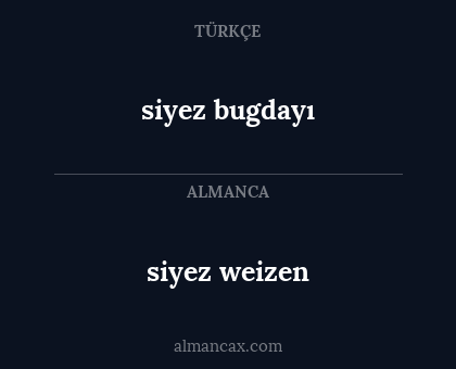siyez weizen - siyez bugdayı