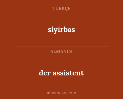 der assistent - siyirbas