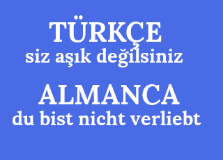 siz+a%C5%9F%C4%B1k+de%C4%9Filsiniz-du+bist+nicht+verliebt.png