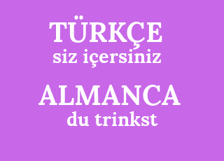 አንተ+i%C3%A7ersın-du+trinkst.png