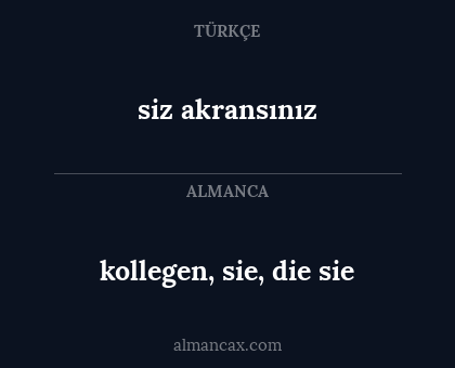 kollegen, sie, die sie - siz akransınız