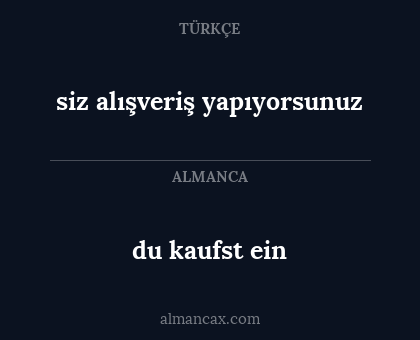 siz alışveriş yapıyorsunuz - du kaufst ein