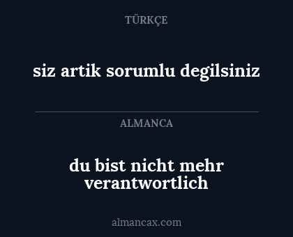 siz artik sorumlu degilsiniz - du bist nicht mehr verantwortlich