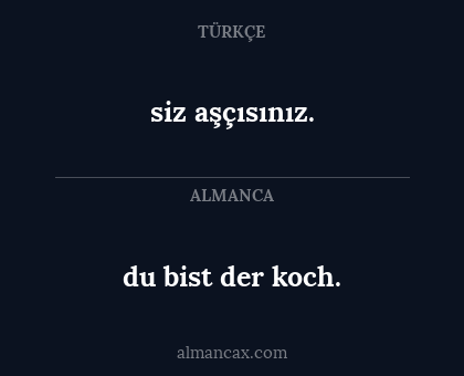 du bist der koch. - siz aşçısınız.
