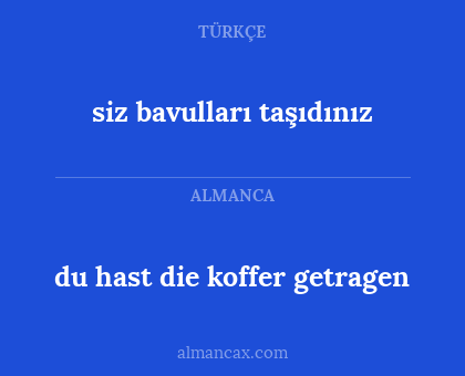 siz bavulları taşıdınız - du hast die koffer getragen