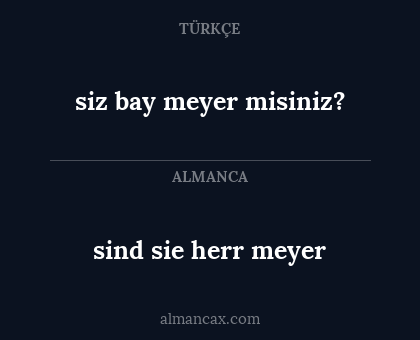 siz bay meyer misiniz? - sind sie herr meyer
