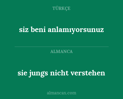 sie jungs nicht verstehen - siz beni anlamıyorsunuz