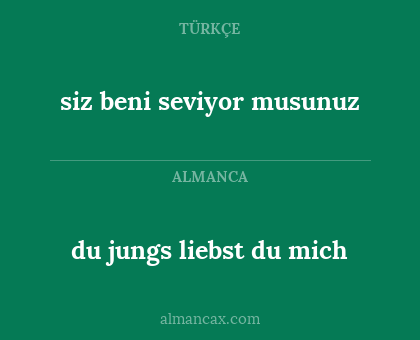 siz beni seviyor musunuz - du jungs liebst du mich