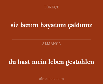 du hast mein leben gestohlen - siz benim hayatımı çaldımız