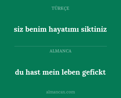 du hast mein leben gefickt - siz benim hayatımı siktiniz
