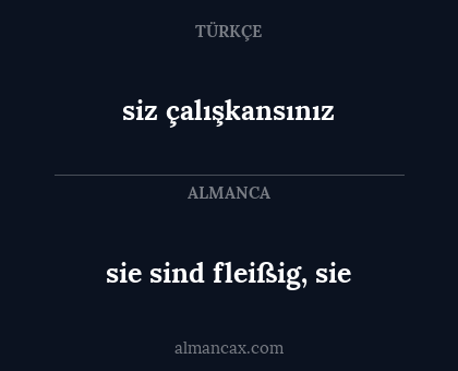 sie sind fleißig, sie - siz çalışkansınız
