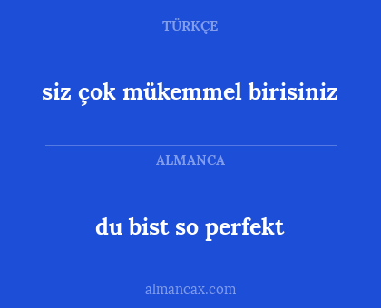 du bist so perfekt - siz çok mükemmel birisiniz