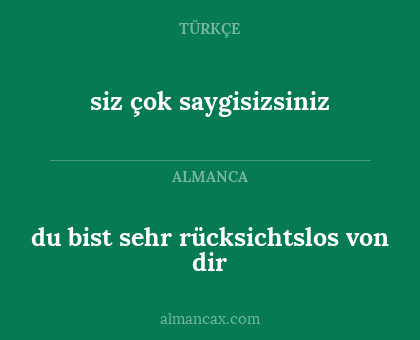 du bist sehr rücksichtslos von dir - siz çok saygisizsiniz
