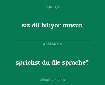 siz dil biliyor musun - sprichst du die sprache?