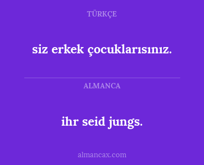 ihr seid jungs. - siz erkek çocuklarısınız.