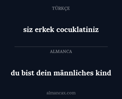 siz erkek cocuklatiniz - du bist dein männliches kind