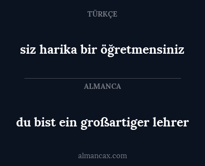 siz harika bir öğretmensiniz - du bist ein großartiger lehrer