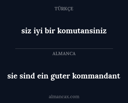 sie sind ein guter kommandant - siz iyi bir komutansiniz