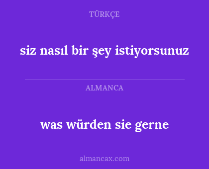 siz nasıl bir şey istiyorsunuz - was würden sie gerne