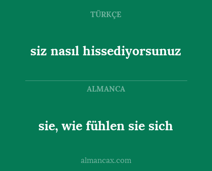 siz nasıl hissediyorsunuz - sie, wie fühlen sie sich