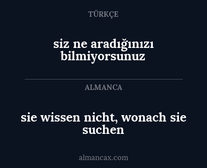 sie wissen nicht, wonach sie suchen - siz ne aradığınızı bilmiyorsunuz