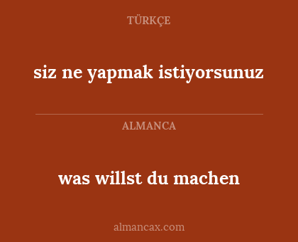 was willst du machen - siz ne yapmak istiyorsunuz