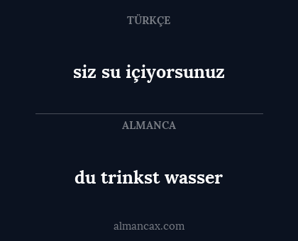 du trinkst wasser - siz su içiyorsunuz