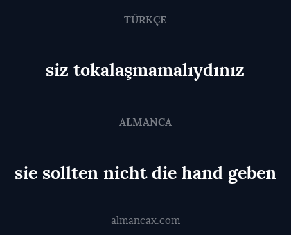 siz tokalaşmamalıydınız - sie sollten nicht die hand geben