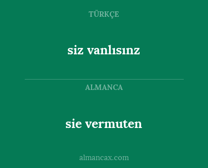 sie vermuten - siz vanlısınz