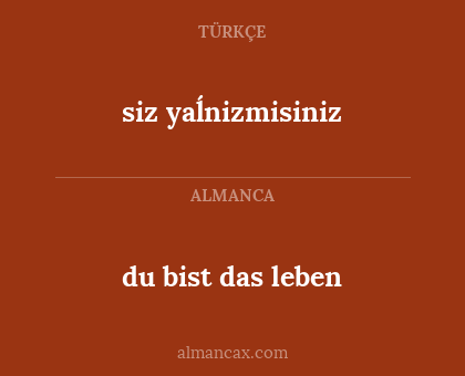 siz yaĺnizmisiniz - du bist das leben