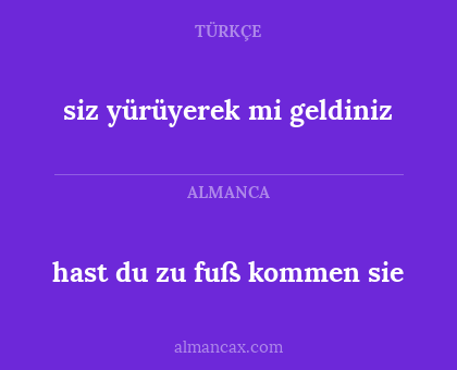 siz yürüyerek mi geldiniz - hast du zu fuß kommen sie