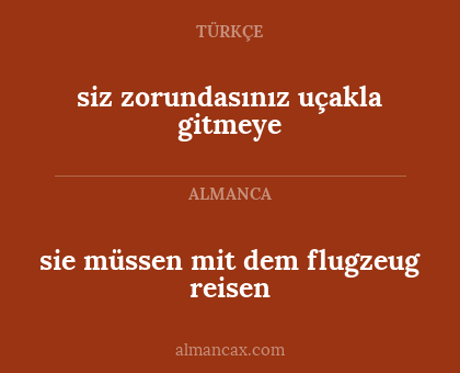 siz zorundasınız uçakla gitmeye - sie müssen mit dem flugzeug reisen