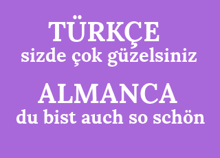 sizde+%C3%A7ok+g%C3%BCzelsiniz-du+bist+auch+so+sch%C3%B6n.png