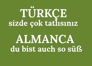 sizde+%C3%A7ok+tatl%C4%B1s%C4%B1n%C4%B1z-du+bist+auch+so+s%C3%BC%C3%9F.png