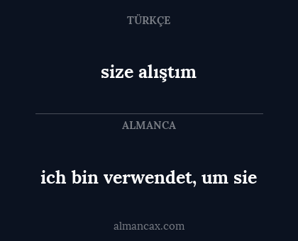size alıştım - ich bin verwendet, um sie