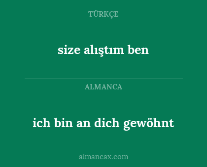 size alıştım ben - ich bin an dich gewöhnt