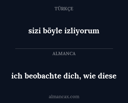 ich beobachte dich, wie diese - sizi böyle izliyorum